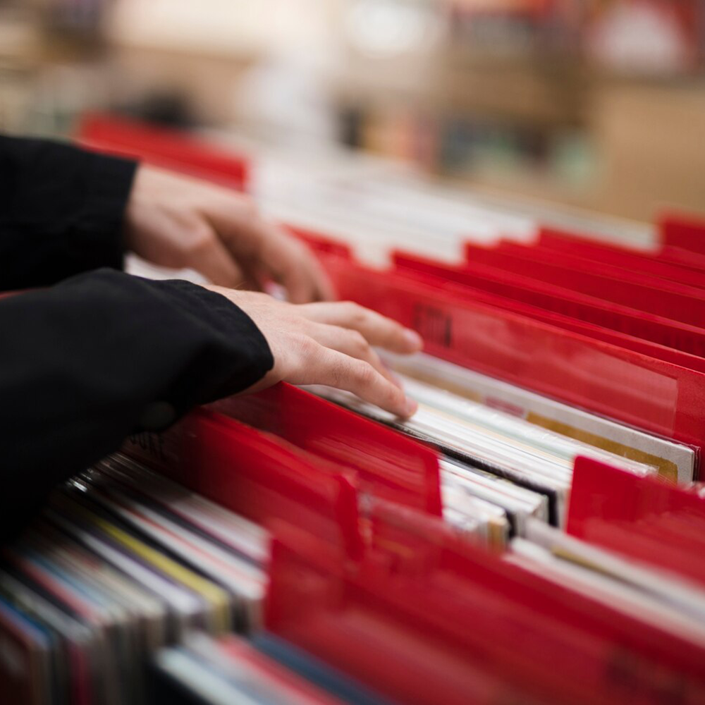 Document and File Organization Services